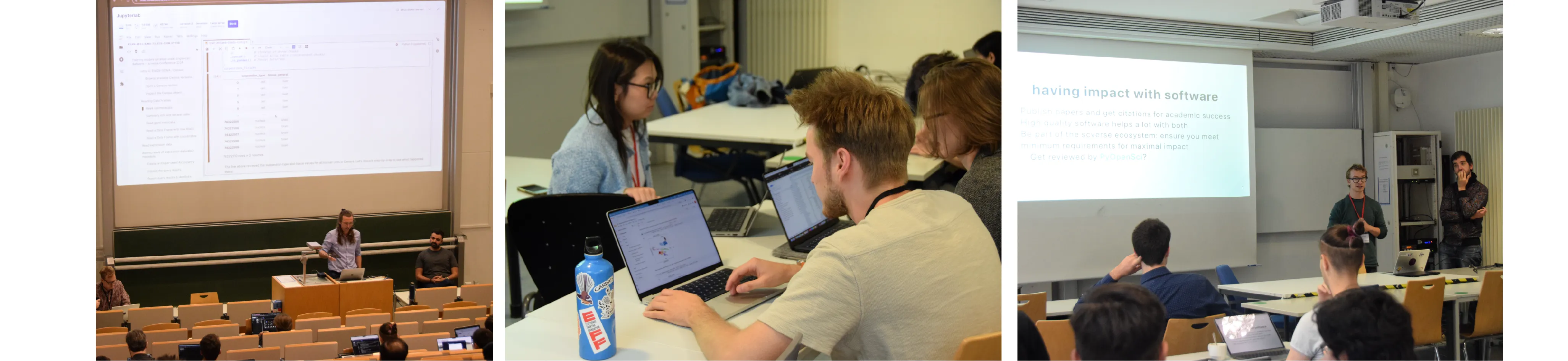 People participating in workshops